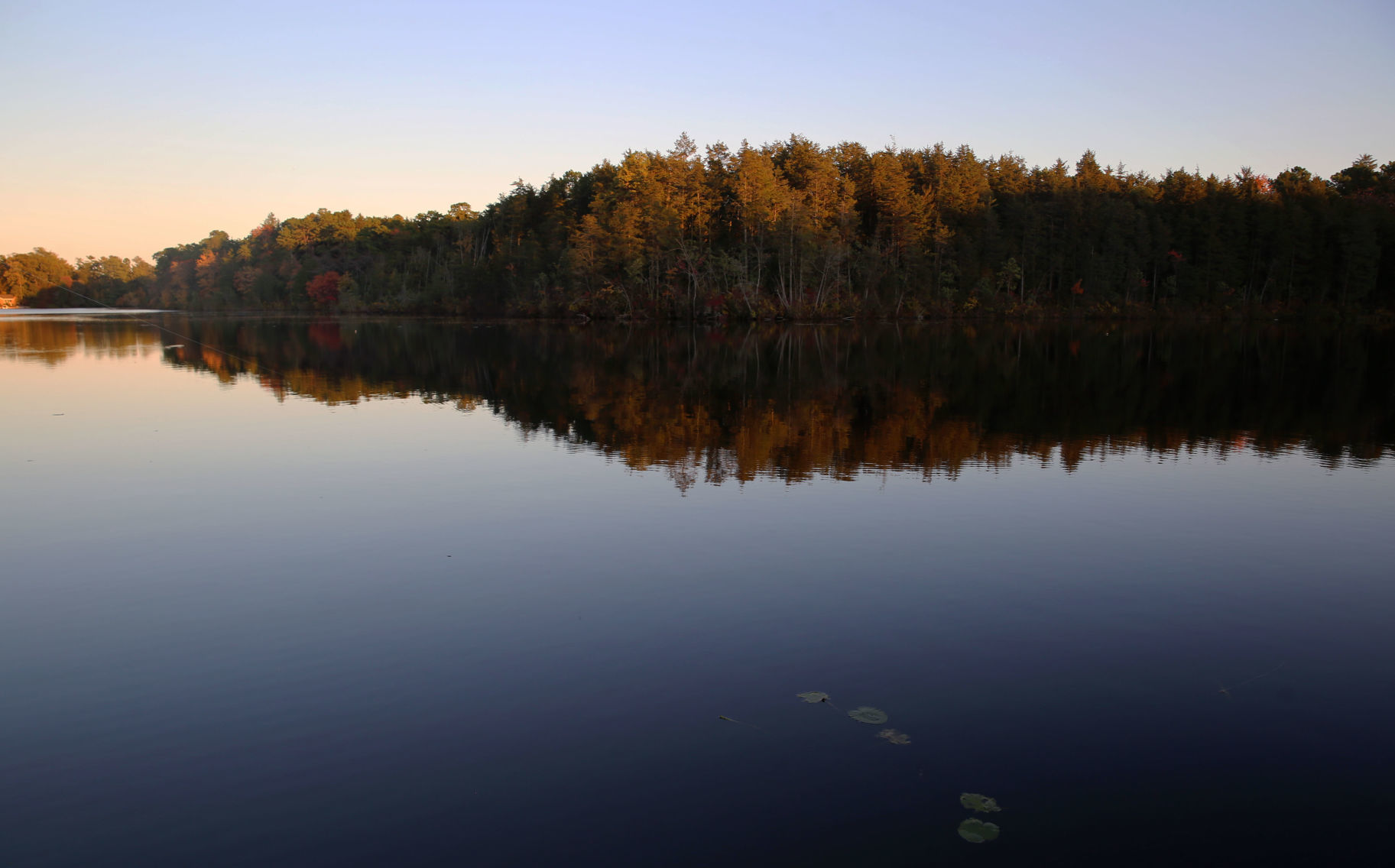 Sunny Fall Foliage